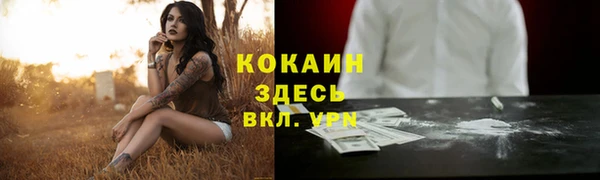 соль ск Мегион