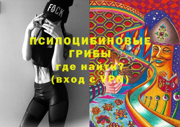спайс Медвежьегорск