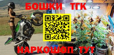 МДПВ Гусев