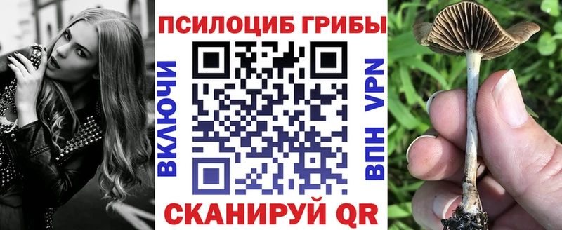 Галлюциногенные грибы прущие грибы  Казань 