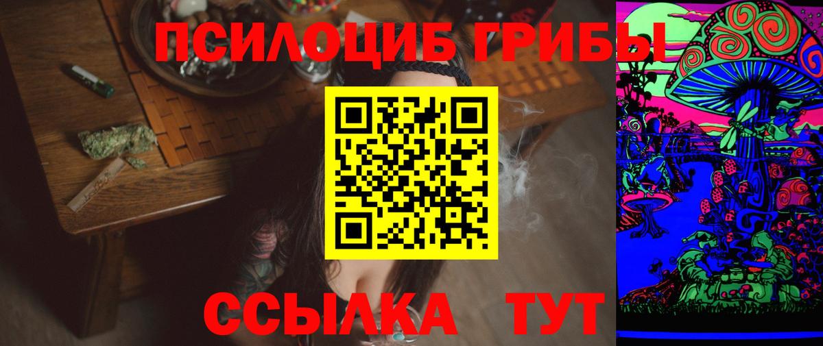 Казань  наркотики  Вход с VPN  Галлюциногенные грибы Psilocybe 