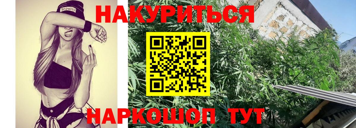 Бошки марихуана гибрид  Вход с VPN  Канабис White Widow  Бошки Шишки SATIVA & INDICA  Казань 